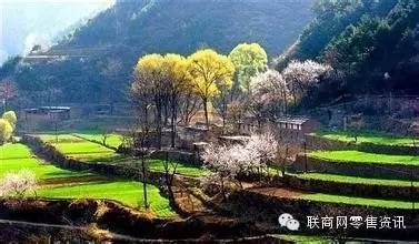 了不起的曹清静-媒体报道-老子有钱lzyq88集团官方网站