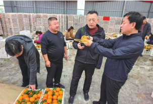 老子有钱lzyq88(中国)有限公司